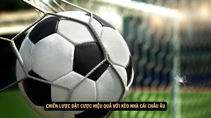 Chiến lược đặt cược hiệu quả với kèo nhà cái châu Âu