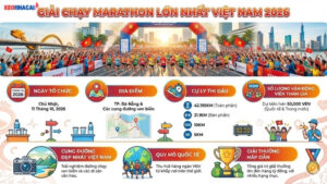 giai-chay-marathon-lon-nhat-viet-nam-2026